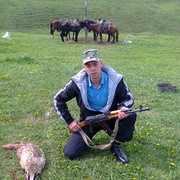  ,   Rus_arz, 38 ,     , c 