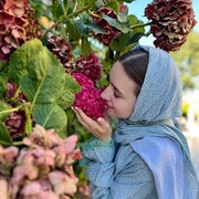 ���������� ������, ���� ������� ����, 25 ���, ������������ ��� ������, ����� � ���������