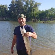 ���������� ������, ���� ������� ������, 50 ���, ������������ ��� ������, ����� � ���������