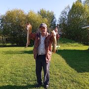  ,   Kamal, 64 ,   ,   