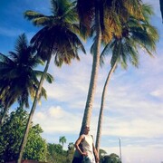 ���������� ���������-�������, ���� ������� ����, 38 ���, ������������ ��� ������, ����� � ���������