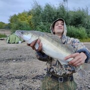 ���������� ����, ���� ������� ������, 43 ����, ������������ ��� ������, ����� � ���������, c�������� ���������