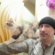  ,   , 41 ,   ,   , c , 