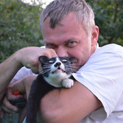 ���������� ��������, ���� ������� ����, 55 ���, ������������ ��� ������