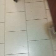  ,   , 46 ,   ,   