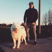 ���������� ��������, ���� ������� Viking, 32 ����, ������������ ��� ������, ����� � ���������, c�������� ���������