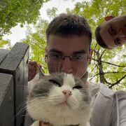 ���������� ������������, ���� ����� �������, 22 ����, ������������ ��� ������