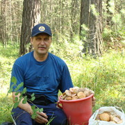 ������� �������