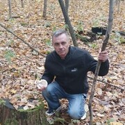 ���������� ����������, ���� ������� ��������, 49 ���, ������������ ��� ������, ����� � ���������