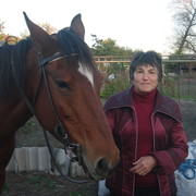 ���������� �����������, ���� ������� ����, 72 ����, ������������ ��� ������, ����� � ���������, c�������� ���������