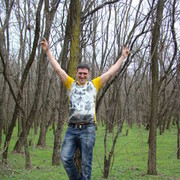 ���������� ����������, ���� ������� Nikola, 41 ���, ������������ ��� ������, ����� � ���������, c�������� ���������