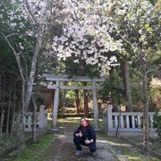  ,   Nikita, 30 ,   ,   , c , 