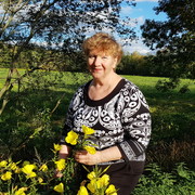 ���������� ������������, ���� ������� �����, 72 ����, ������������ 