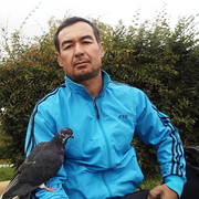  ,   Komil, 44 ,   ,   , c 