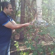 ���������� ����������, ���� ������� Gevorg, 36 ���, ������������ ��� ������, ����� � ���������, c�������� ���������