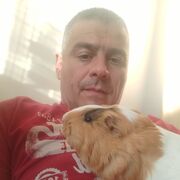 ���������� �����, ������� Anastas, 46