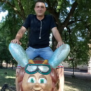 ���������� �������, ���� ������� ������, 36 ���, ������������ ��� ������, ����� � ���������, c�������� ���������