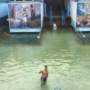 ���������� ����, ���� ������� ������, 43 ����, ������������ ��� ����� � ���������, c�������� ���������, ���������