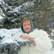  --,   , 55 ,  