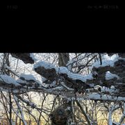 ���������� ������������, ���� ����� ������, 19 ���, ������������ ��� ������, ����� � ���������, c�������� ���������, ���������