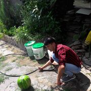 ���������� ������, ���� ������� �����, 26 ���, ������������ ��� ������, ����� � ���������