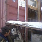 ���������� ������, ���� ������� ����, 58 ���, ������������ ��� ����� � ���������, c�������� ���������