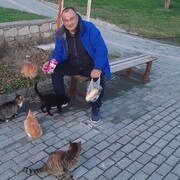  ,   , 55 ,   ,   