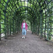  -,   , 51 ,   ,   , c 