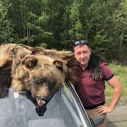 ���������� �����, ���� ������� ���, 44 ����, ������������ ��� ������, ����� � ���������, c�������� ���������