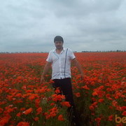 ���������� �����������, ���� ������� ����, 46 ���, ������������ ��� ������, ����� � ���������, c�������� ���������