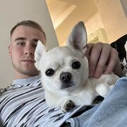 ���������� ������, ���� ������� �����, 28 ���, ������������ ��� ������, ����� � ���������