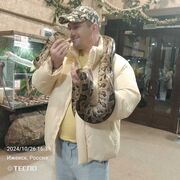 ���������� ������, ���� ������� ���������, 41 ���, ������������ ��� ������, ����� � ���������, c�������� ���������, ���������