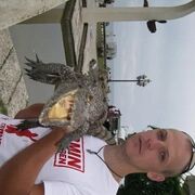 ���������� ������, ���� ������� Ilya, 43 ����, ������������ ��� ������, ����� � ���������, c�������� ���������, ���������