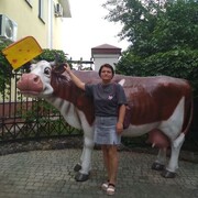 ���������� �����, ���� ������� ������, 50 ���, ������������ ��� c�������� ���������, ���������