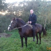 ���������� �����, ���� ������� ���, 41 ���, ������������ ��� ������