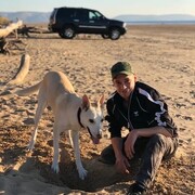 ���������� ��������, ���� ������� �����, 36 ���, ������������ ��� ������, ����� � ���������, c�������� ���������