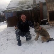  -,   Wolf, 41 ,   ,   , c 