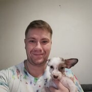 ���������� �����-���������, ���� ������� ���������, 34 ����, ������������ ��� c�������� ���������