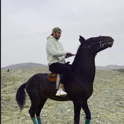 ���������� ������, ���� ����� ���, 24 ����, ������������ ��� ������, ����� � ���������, c�������� ���������