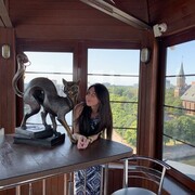 ���������� �����-���������, ���� ������� ���, 38 ���, ������������ ��� ����� � ���������, c�������� ���������