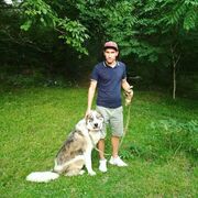 ���������� �����������, ���� ������� ����, 38 ���, ������������ ��� ������, ����� � ���������, c�������� ���������