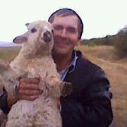  ,   , 48 ,   c , 