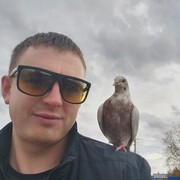 ���������� �����, ���� ������� �����, 37 ���, ������������ ��� ������, ����� � ���������, c�������� ���������