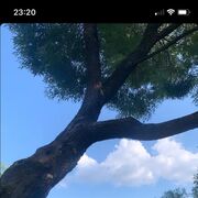  -,   , 23 ,   ,   