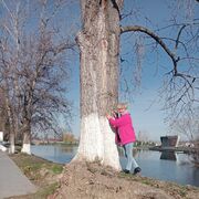 ���������� ������� ����, ���� ������� �������, 57 ���, ������������ ��� c�������� ���������