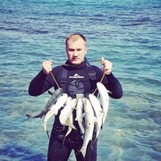 ���������� ������, ���� ������� Ҹ��, 34 ����, ������������ ��� ������, ����� � ���������