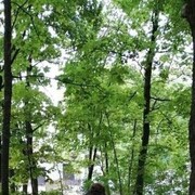 ���������� �����-���������, ���� ������� �����, 66 ���, ������������ ��� ������, ����� � ���������, ���������