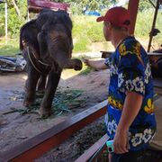 ���������� �������, ���� ������� ���, 36 ���, ������������ ��� ������, ����� � ���������, c�������� ���������