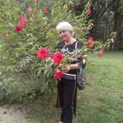  ,   , 53 ,   ,   , c 