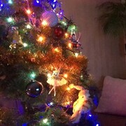 ���������� ������, ���� ������� Sergey, 46 ���, ������������ ��� ������, ����� � ���������